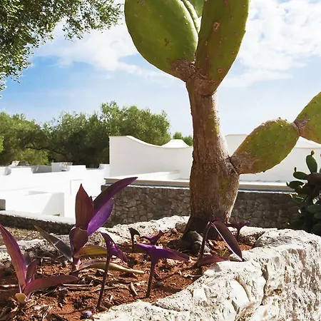 Casa Arco Del Mare אנדרנו